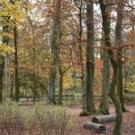 DSC_3996.jpg
